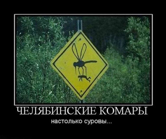 Демотиваторы про Челябинск.