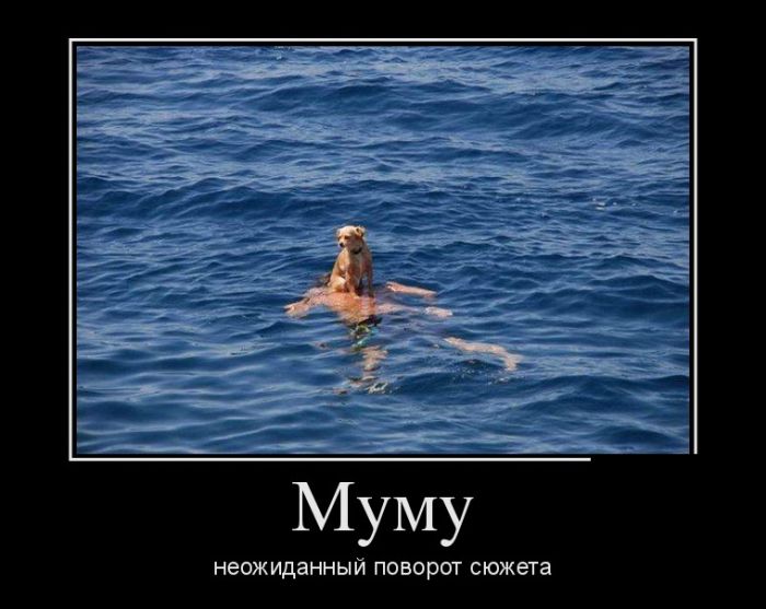 Демотиваторы новые и прикольные.