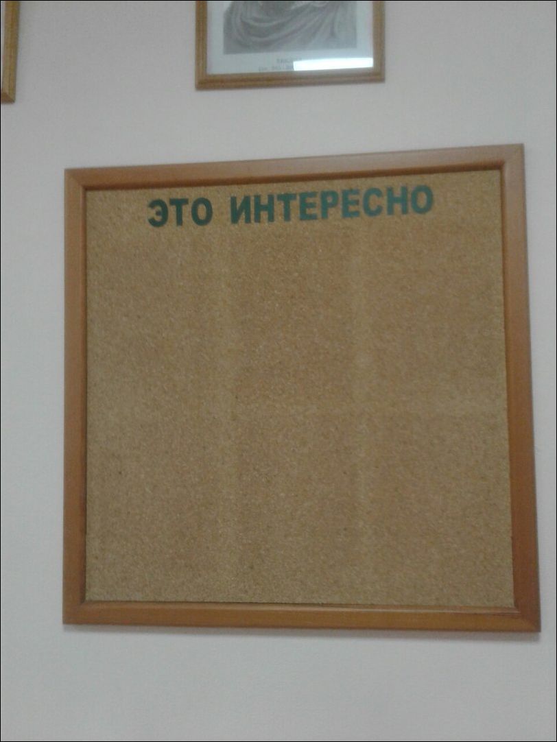 Прикольные картинки (30 штук)