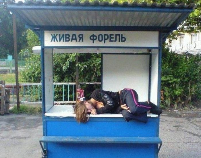 Фото приколы и просто картинки, юмор