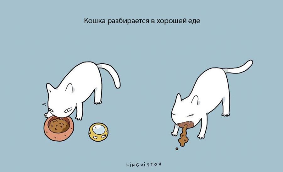 Преимущество в том, что бы завести себе кошку