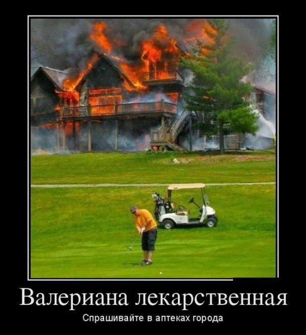 Демотиваторы для смеха
