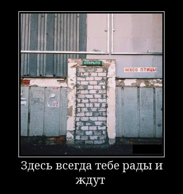 Демотиваторы смешные про девушек, и другие с юмором.