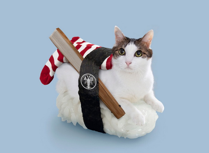Котосуши