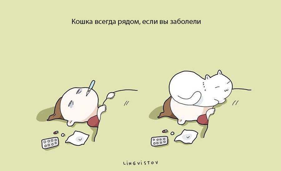 Преимущество в том, что бы завести себе кошку