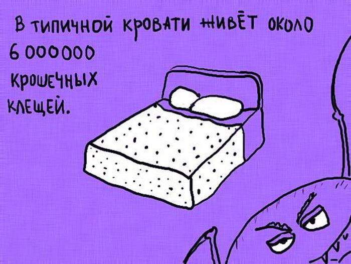 Интересные факты в рисунках