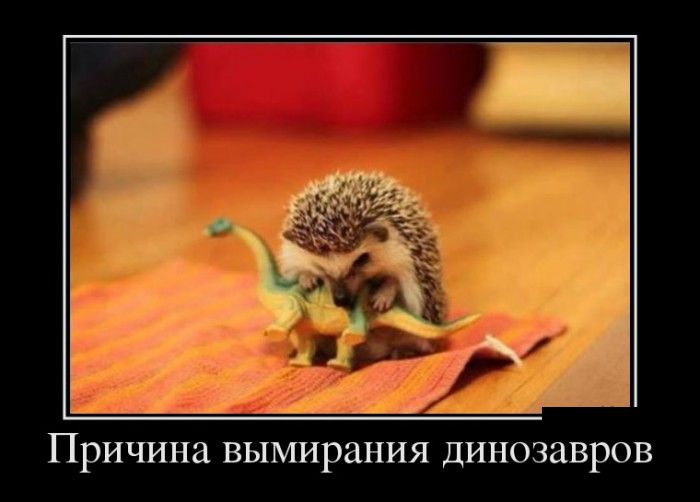 Убойные и прикольные демотиваторы.