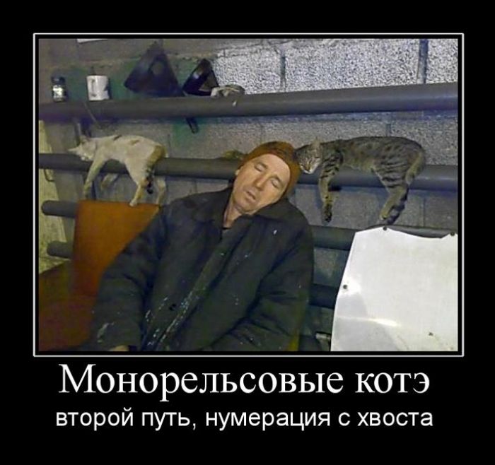 Приколы новые демотиваторы, смешные фразы и картинки.