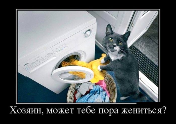 Прикольные демотиваторы для тебя.
