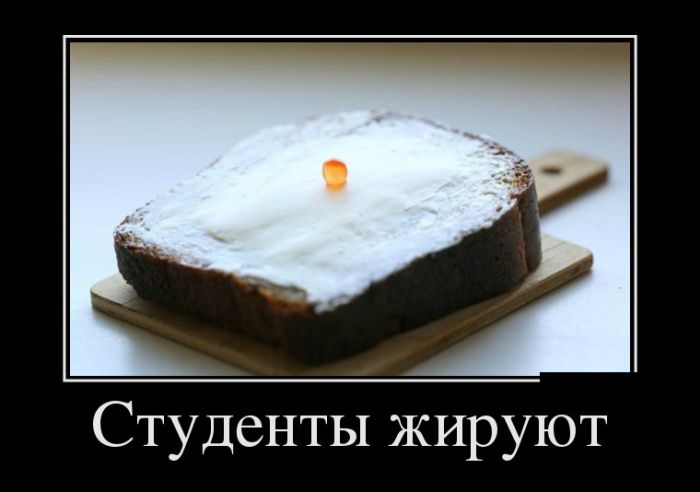 Демотиваторы новые на Ёжине.