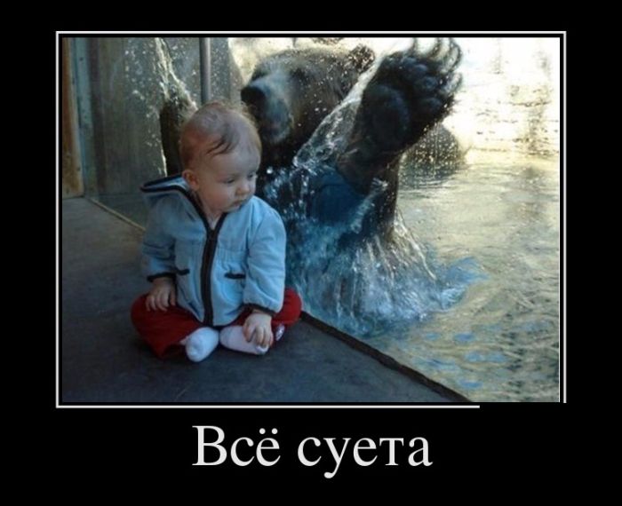 Демотиваторы, это прикольно не лишай себя удовольствия.