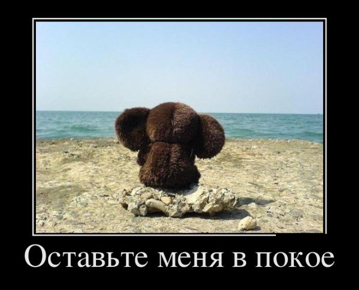 Демотиваторы для прикольного настроения.