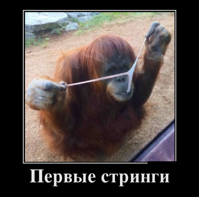 Демотиваторы, смотреть приколы всем.