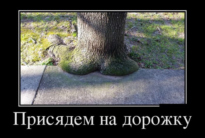 Демотиваторы хочется смотреть прикольные.