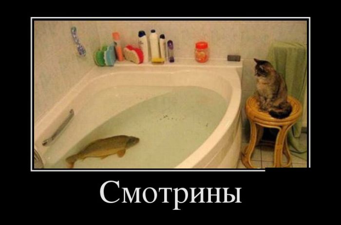 Демотиваторы, срочные приколы.