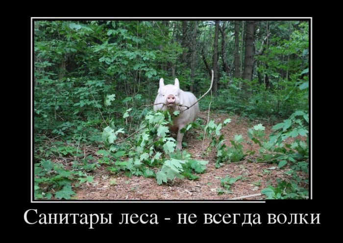 Демотиваторы, Класная подборка новых (22 фото)