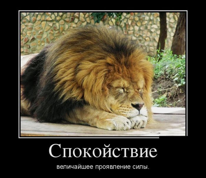 Классная подборка новых демотиваторов.