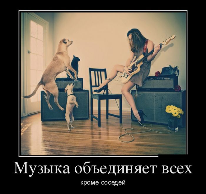 Демотиваторы фото с приколами.