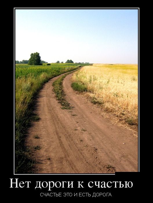 Новые приколы в демотиваторах, фразы и картинки.