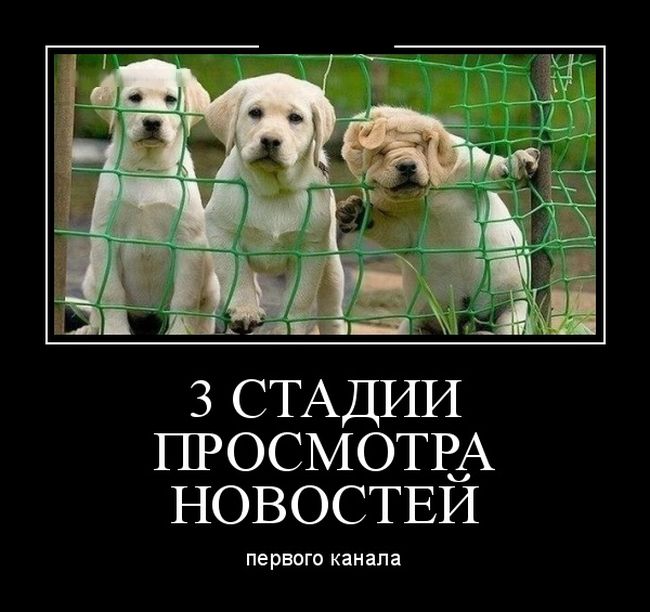 Демотиваторы новые и прикольные.