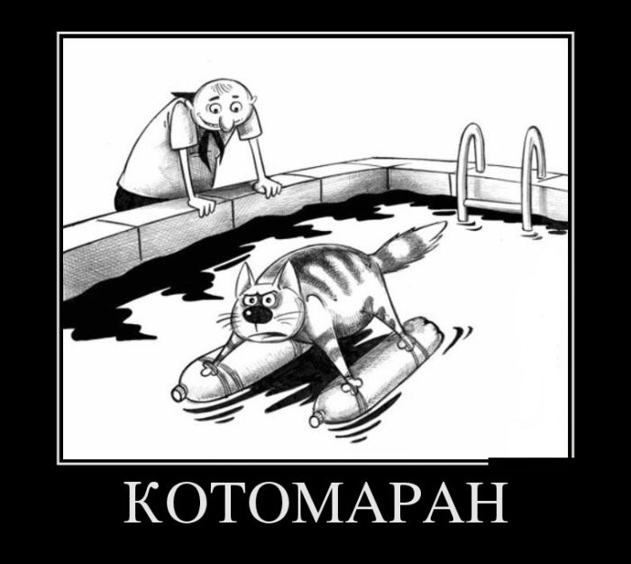 Демотиваторы дня, будет смешно.