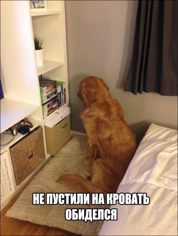 За фото приколы и здоровый образ жизни!