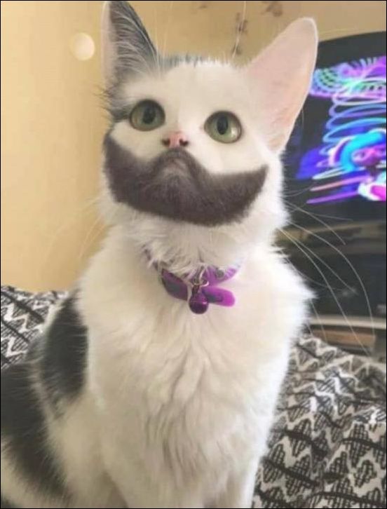 Прикольные картинки.