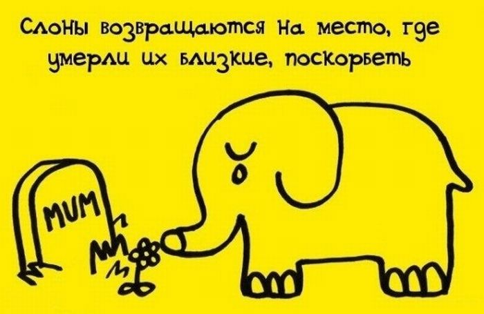 Интересные Факты, тема продолжается.