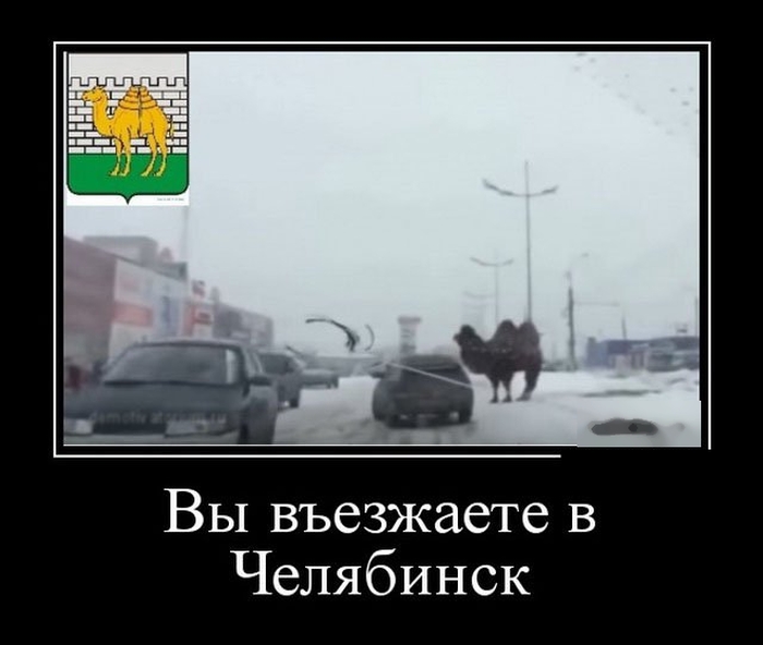 Демотиваторы бывают разные, у нас они только прикольные.