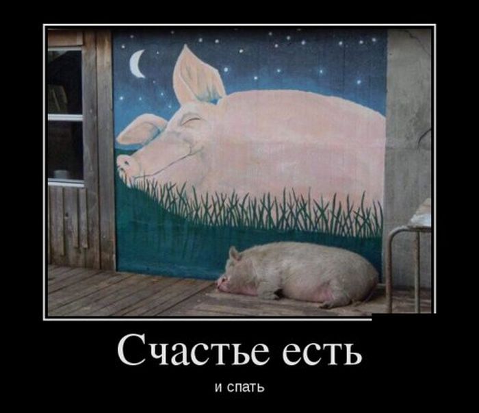 Демотиваторы поднимут любое настроение.