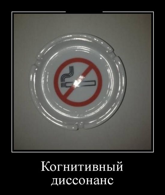 Демотиваторы, прикольные фотки и новые фразы.