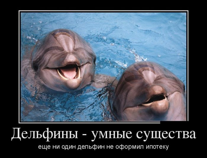 Демотиваторы для прикольного настроения.