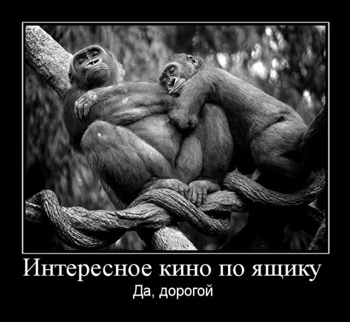 Демотиваторы и чашка крепкого кофе, вот что с утра нужно.