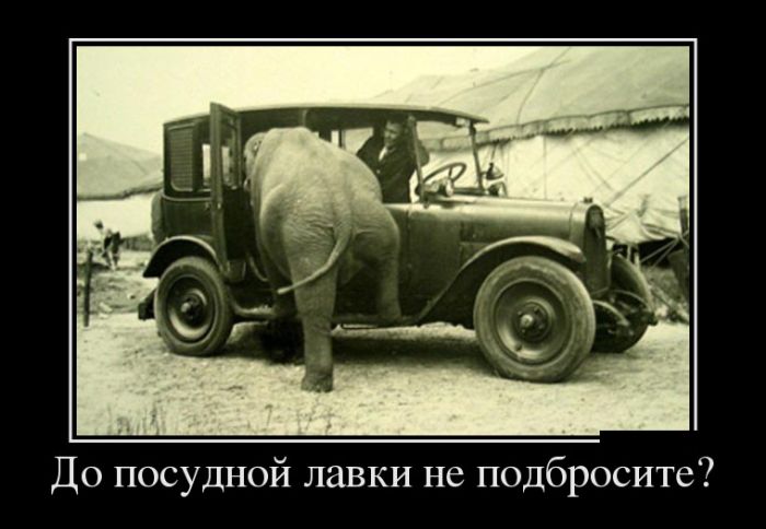 Свежие демотиваторы на Ёжин.ру