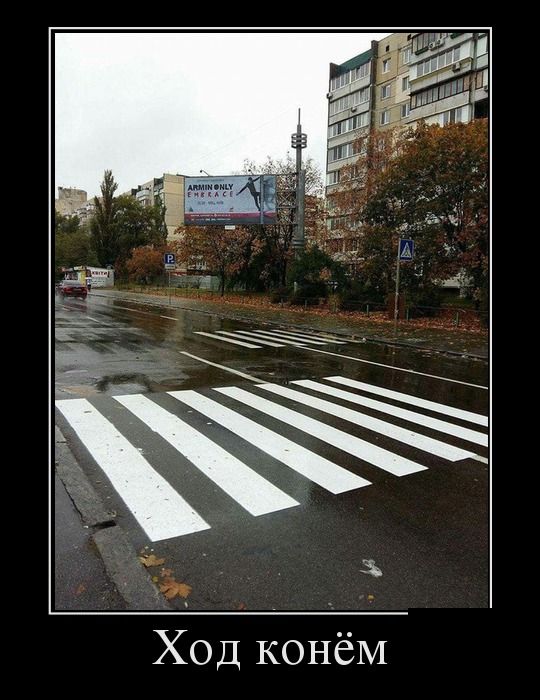 Классная подборка новых демотиваторов.