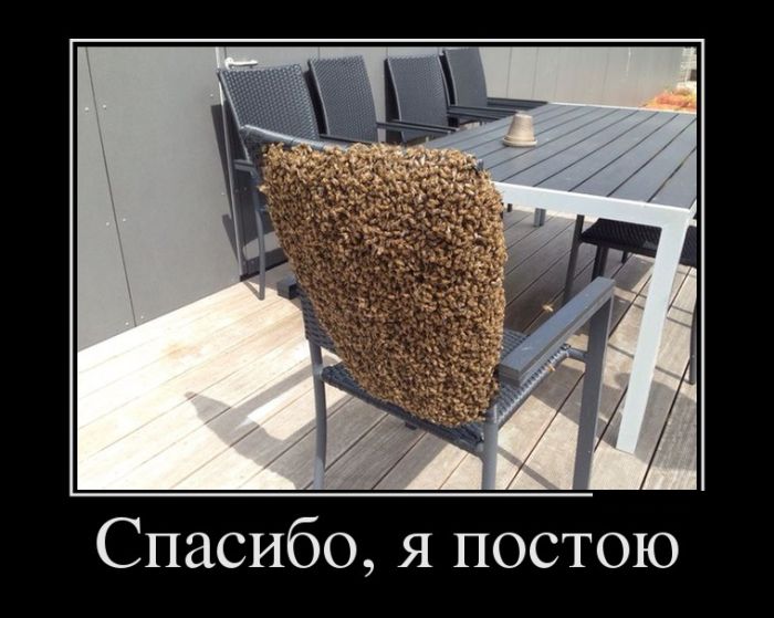 Демотиваторы фото с приколами.