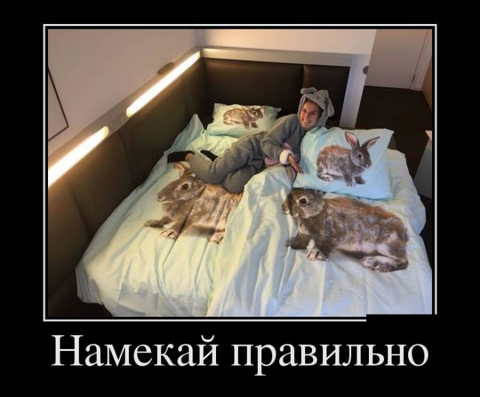 Демы с юмором новые.