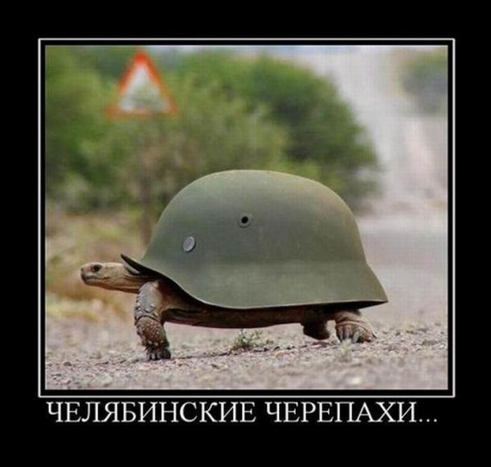 Демотиваторы про Челябинск.