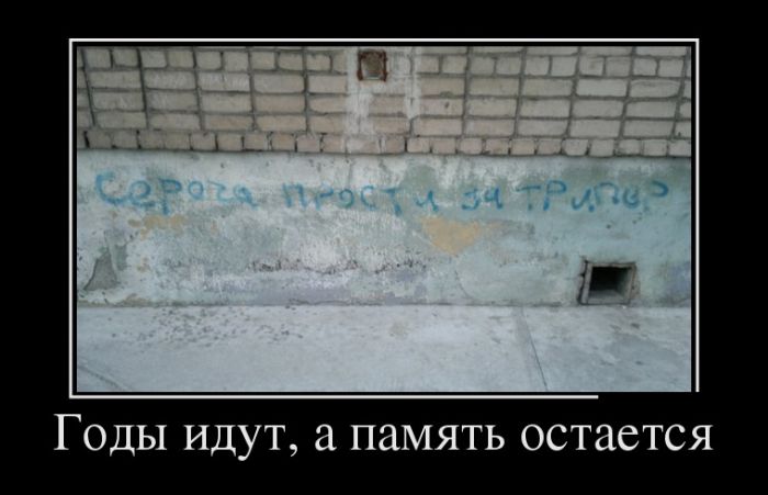 Демотиваторы новые и прикольные.