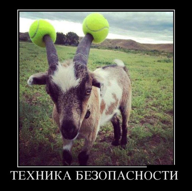 Подборка ржачных демотиваторов.