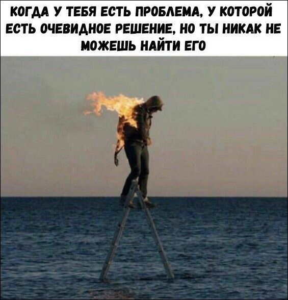 Прикольные картинки (30 фото)