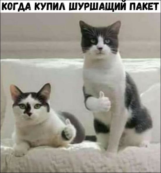 Прикольные картинки.
