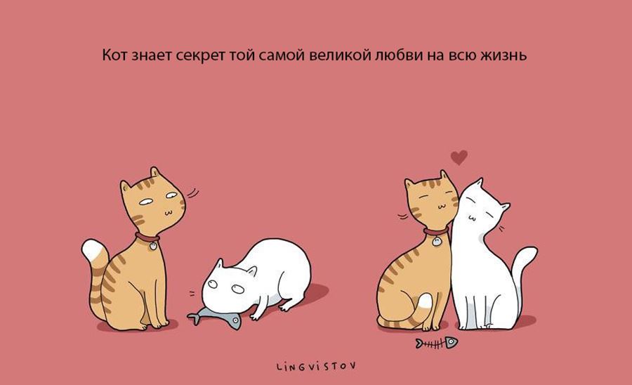 Преимущество в том, что бы завести себе кошку