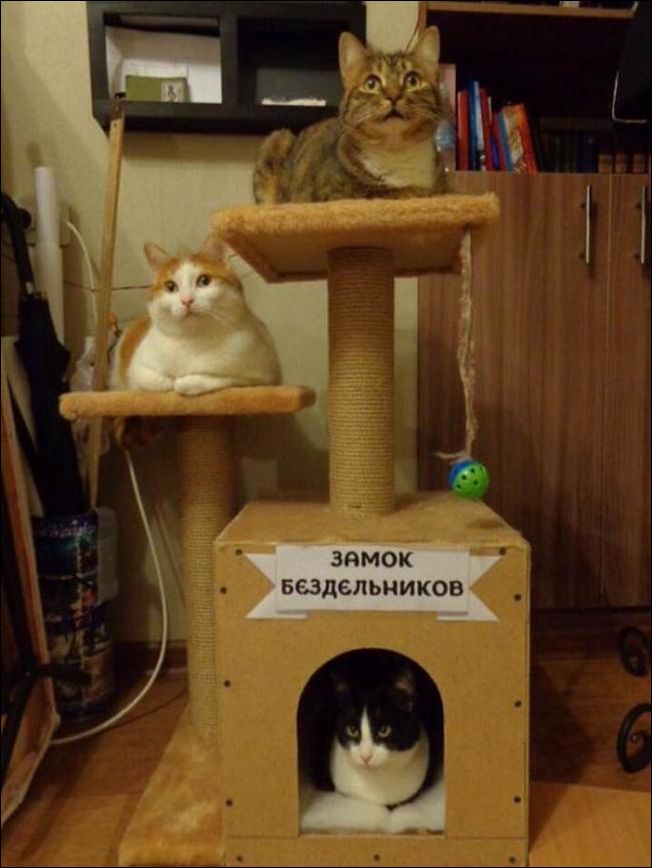 Смешные надписи и прикольные объявления, плакаты
