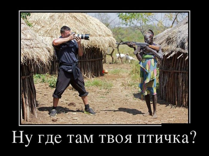 Демы прикольные на день.