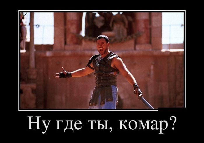 Демотиваторы это  приколы в картнках с цитатами.