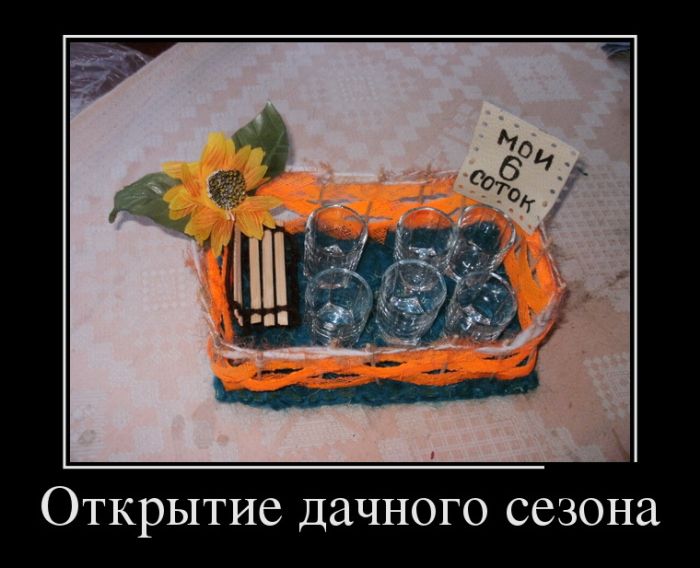 За день накопилось так много прикольных демотиваторов.