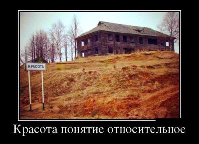 Приколы новые демотиваторы, смешные фразы и картинки.