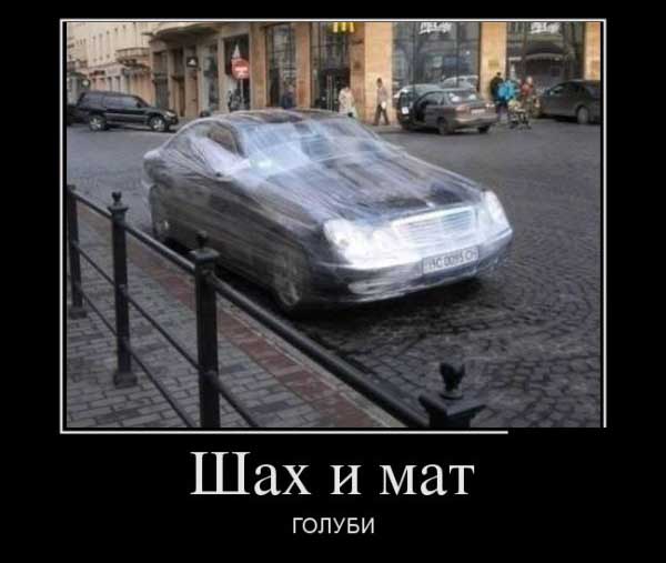 Прикольные демотиваторы, для ценителей позитива.