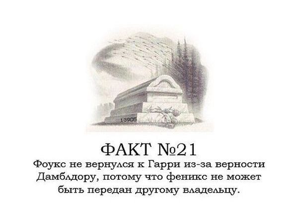 Интересные факты о Гарри Поттере.